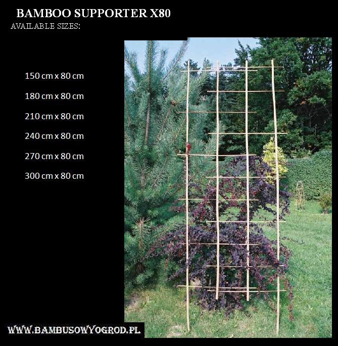 Drabinka bambusowa x 80